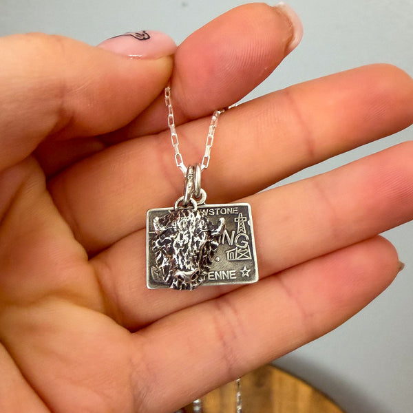 Wyoming Bison Postcard Necklace 16"