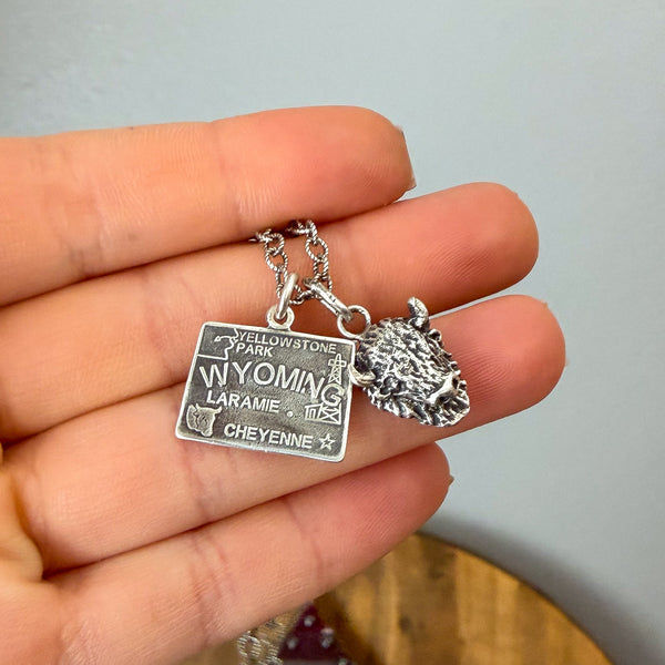 Wyoming Bison Postcard Necklace 22"
